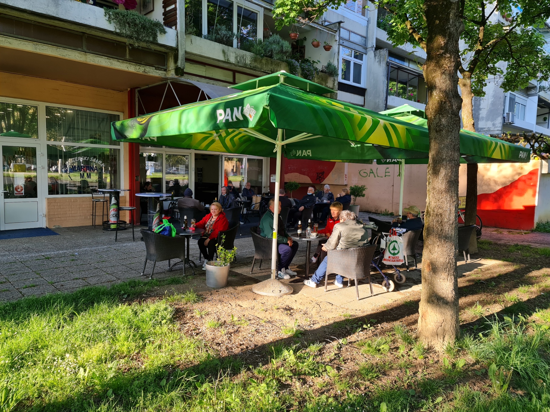 Suncokret 4